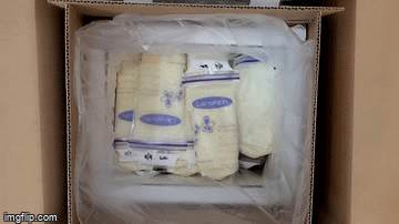 frozen breast milk shipment