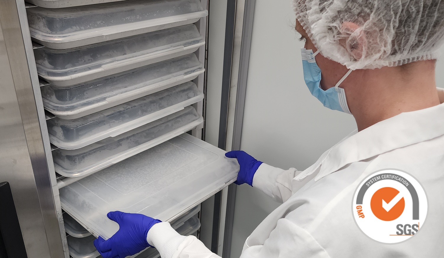 Milkify is the only GMP certified breast milk freeze-drying service
