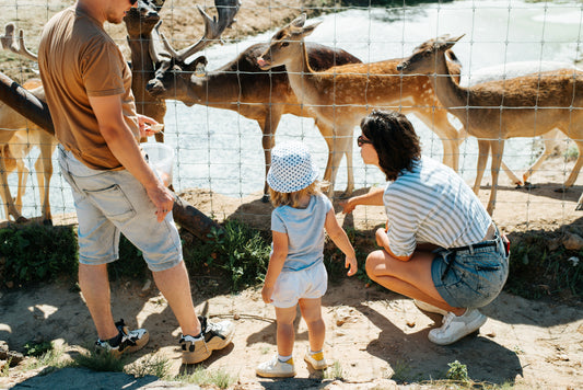 Take Your Family on a “Breastfeeding” Field Trip!