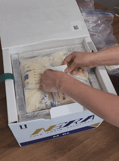 Cerrar bolsa plástica y cooler